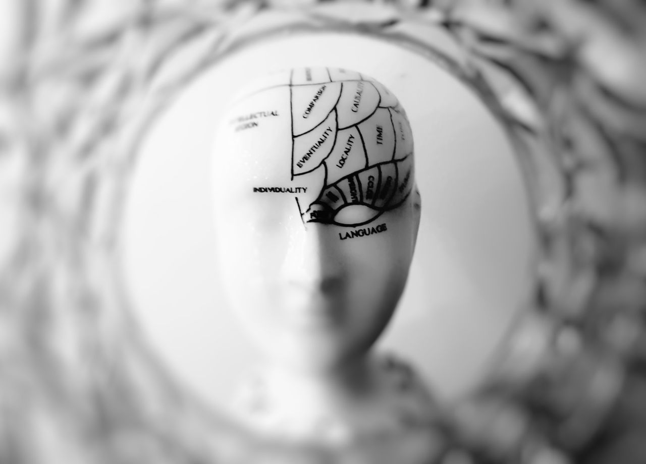 Services Close-up black and white image of a phrenology head with brain sections labeled.